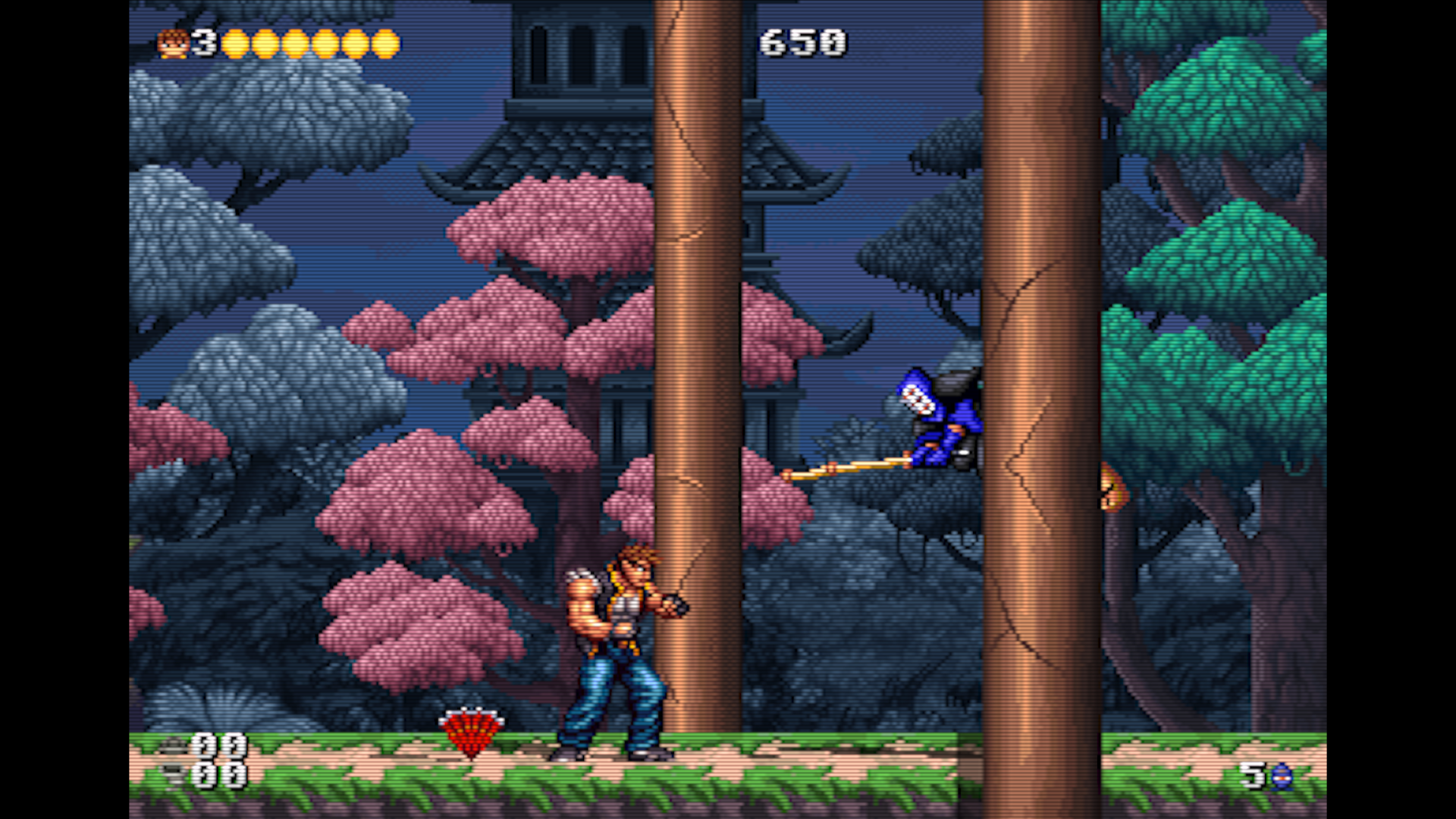 Dan encounters a sword-wielding enemy in the temple gardens.